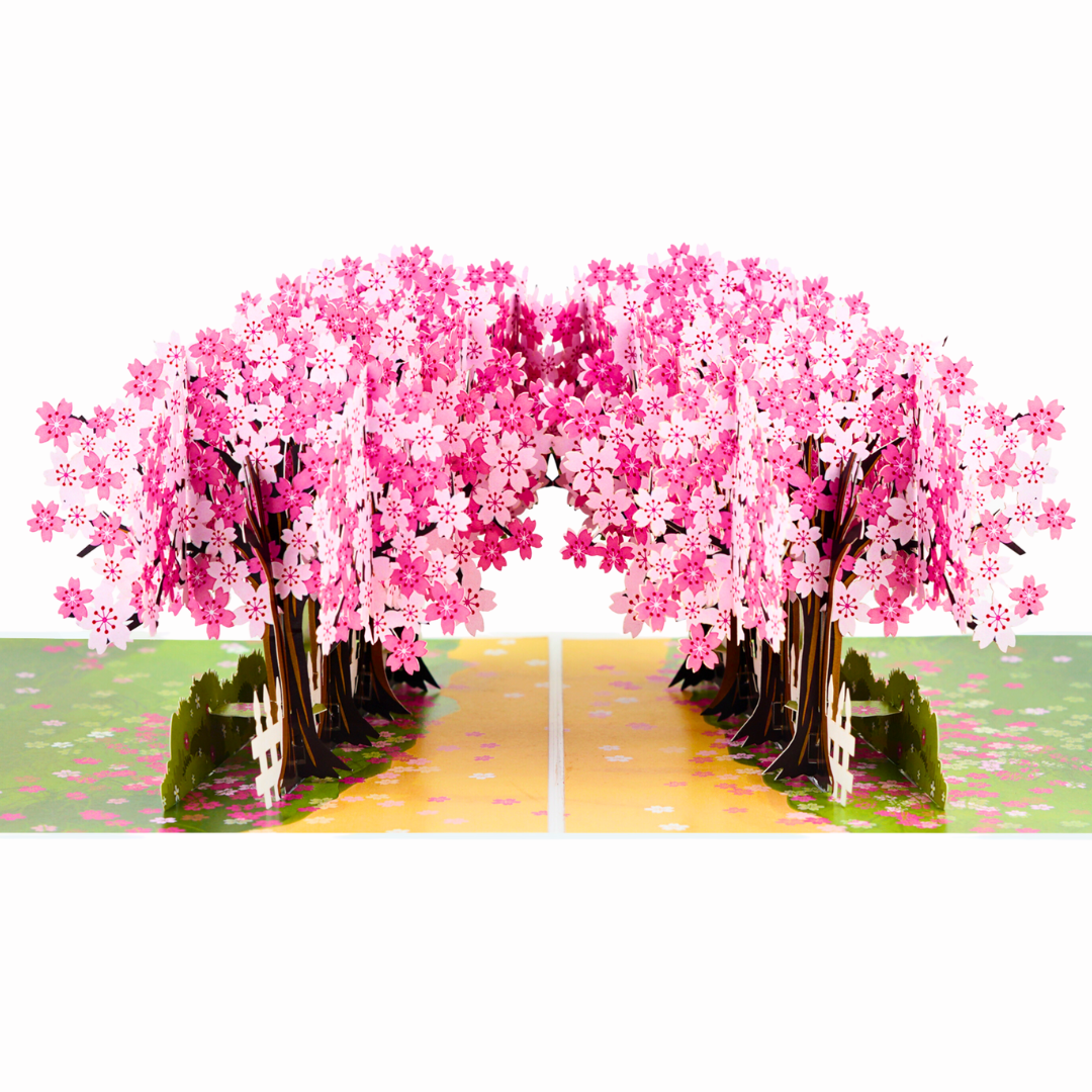 Cherry blossom trees pop up card, Mothers Day pop up card, Spring birthday card, 3D card for any occasion