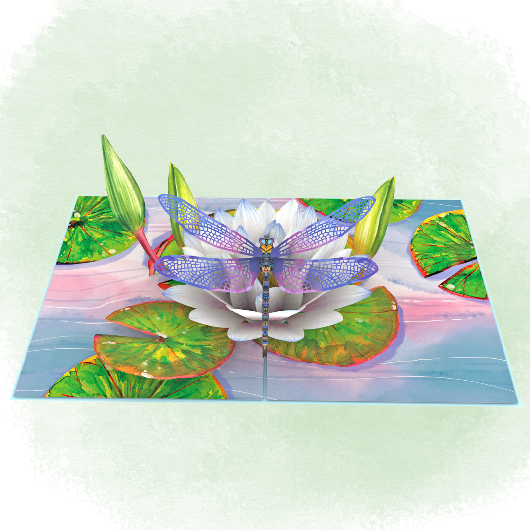 Dragonfly & Water Lily 3D birthday pop up card, Mother's Day card, Thinking of you, Get well soon card