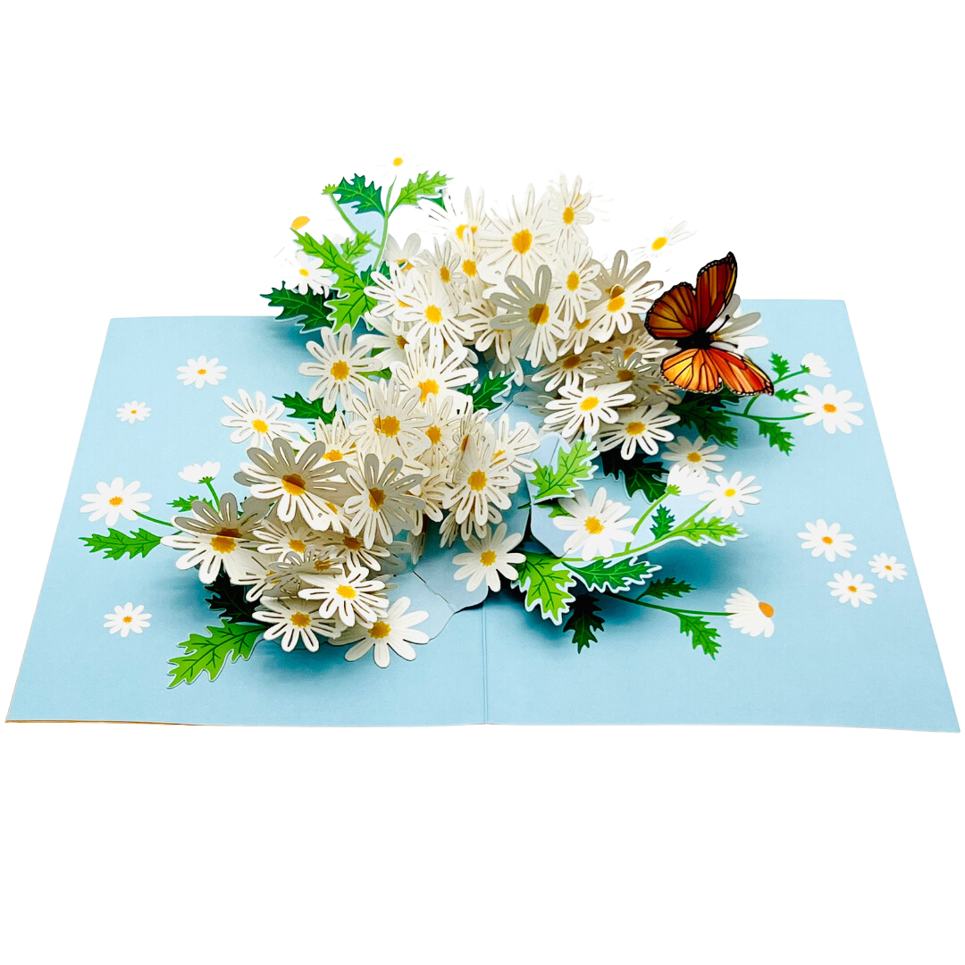 Daisy and butterfly pop up card, Mother's Day, Birthday, Thinking of you, Get Well Soon