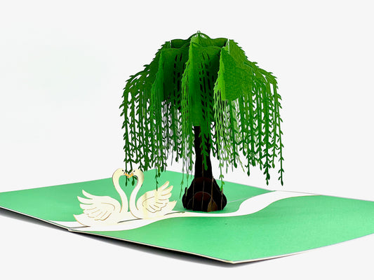 Willow tree and Swans Pop up card