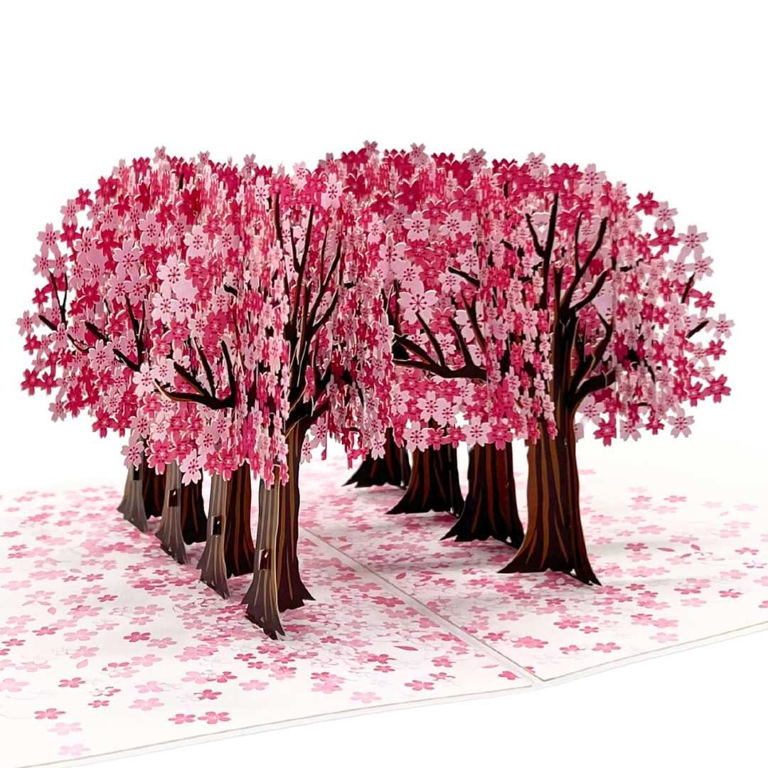 Cherry blossom trees pop up card, Mothers Day pop up card, Spring birthday card, 3D card for any occasion