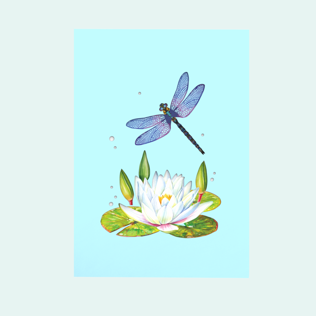 Dragonfly & Water Lily 3D birthday pop up card, Mother's Day card, Thinking of you, Get well soon card