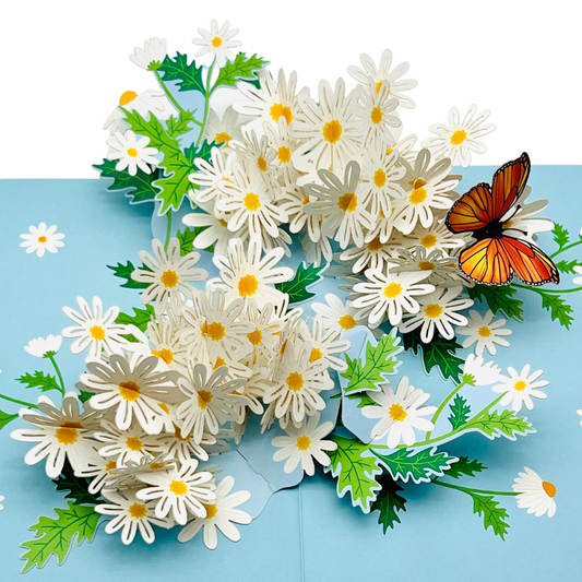 Daisy and butterfly pop up card, Mother's Day, Birthday, Thinking of you, Get Well Soon