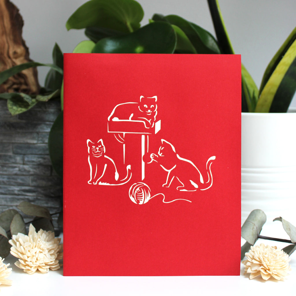 Playful Cats Pop up cards