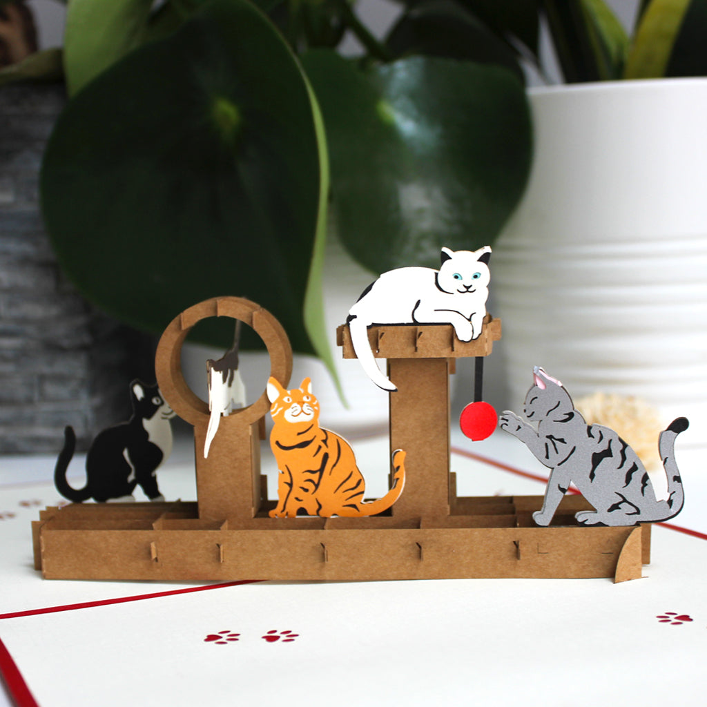 Playful Cats Pop up cards