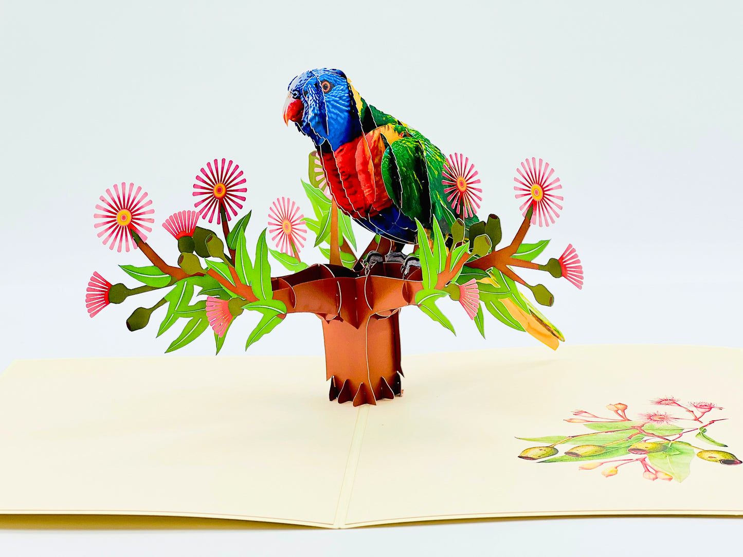 Tropical Tranquility: Vibrant Parrot Pop-Up Card, Birthday pop up card, card for any occasion