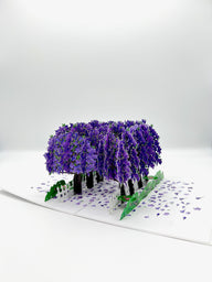 Experience the beauty of a jacaranda avenue in full bloom with this pop up card, with blank space for a message