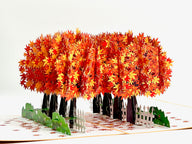 The maple trees in full autumn colour in the maple tree avenue pop up card, great for birthdays