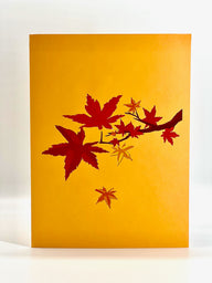 The front cover of the maple tree avenue pop up card, featuring a beautiful autumnal maple tree branch