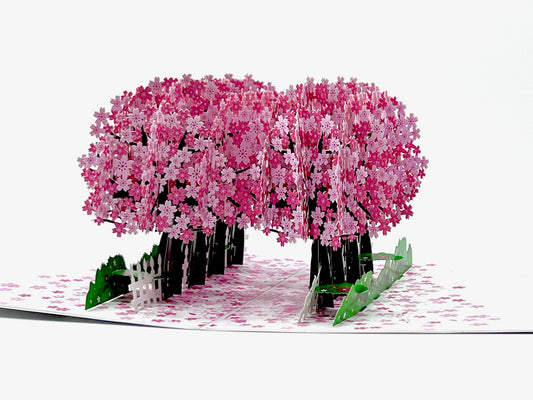 Cherry blossom pop-up card featuring a stunning display of pink flowers in full bloom.