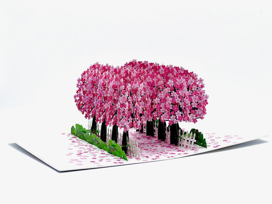 Intricate cherry blossom pop-up card, handmade with high-quality craftsmanship.